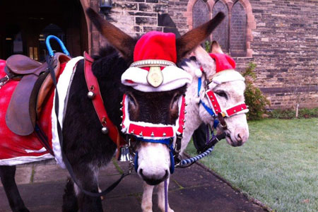 christmas donkeys by church