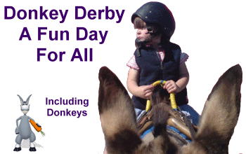 Stonehill donkeys for your donkey derby event