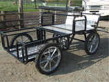 Donkeys for sale - We have many donkeys for sale, all of which you can ride, and some you can also drive. Also for sale a selection of young home bred donkeys, If you are looking for Donkey Tack Stonehill Donkeys offer a good choice