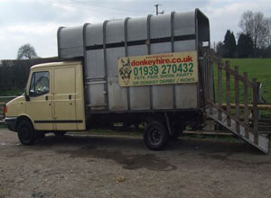 LDV 400 For Sale donkey pony box
