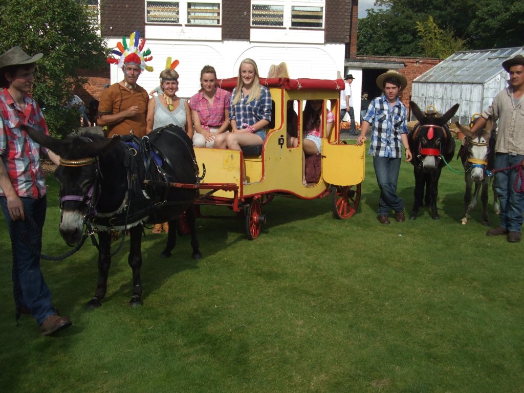 Donkey hire for christenings and birthday party's