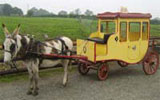 Donkey hire for christenings and birthday party's