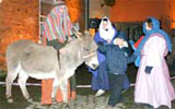Donkey hire for church events