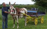 Stonehill Donkeys provide donkeys for  Special events and appearances, Christenings, Birthday Party, TV and Theatre church events stag and hen party's